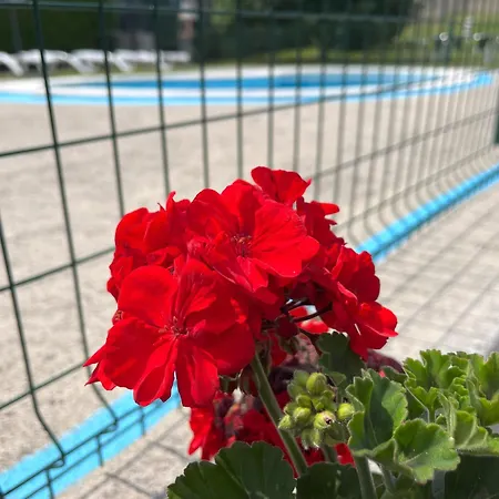 Apartman Vistalpas Mogro