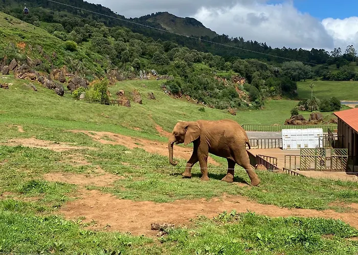 Apartment Vistalpas *