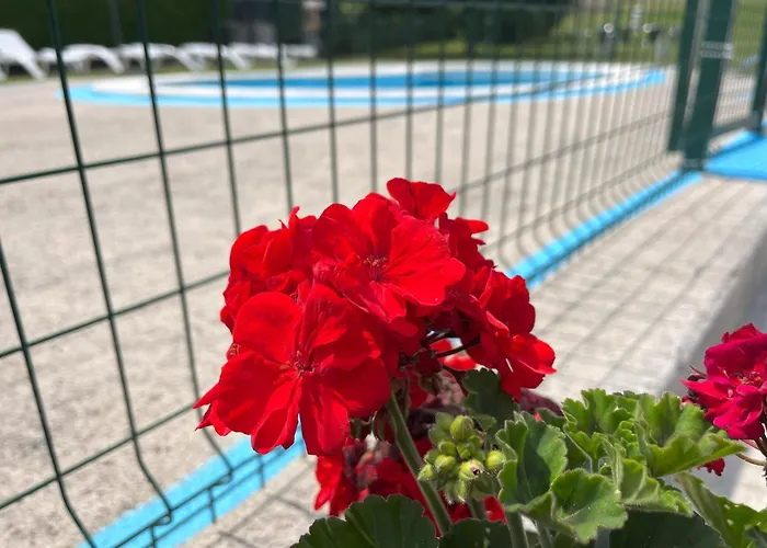 Apartment Vistalpas Mogro