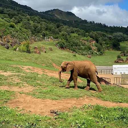 Lägenhet Vistalpas *
